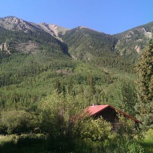 Meet your Posher, Barbara